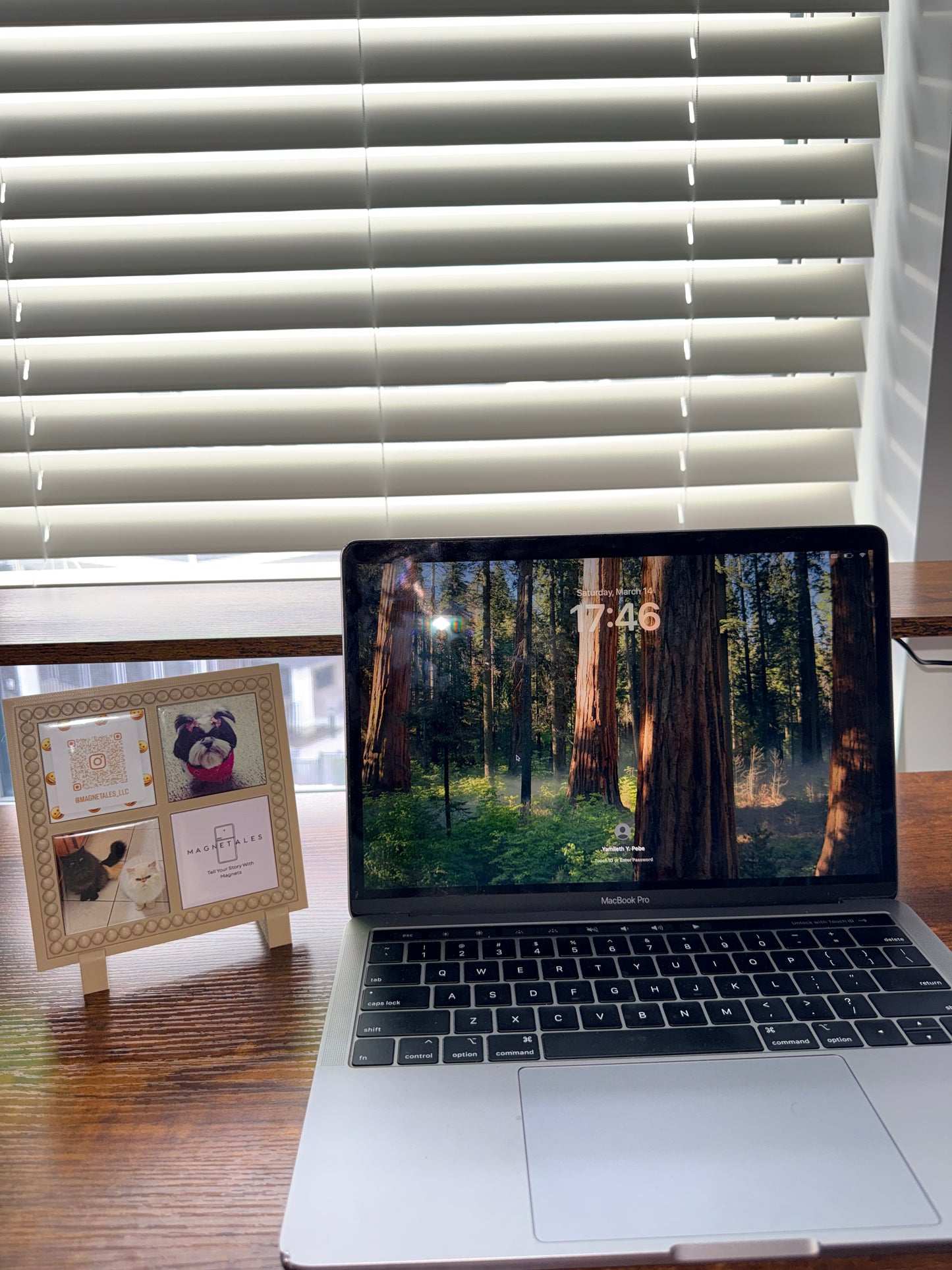 4-Piece Custom Photo Magnets & Frame